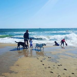 Meet your Posher, Leah